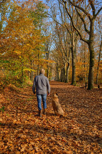 Rear view of dog walking in park during autumn