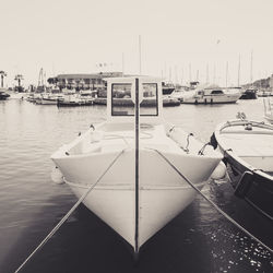 Sailboats moored at harbor against clear sky