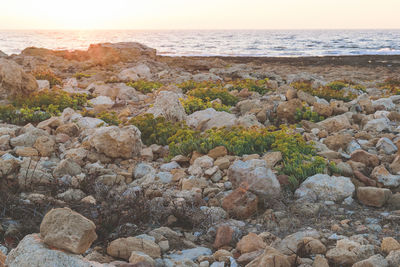 Rocks on shore against sea during sunset