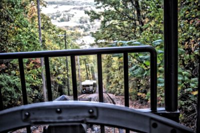 Car on tree seen through window