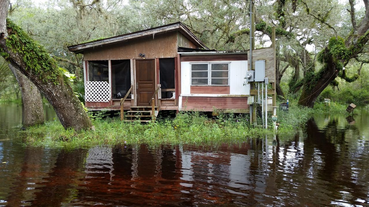 HOUSES BY LAKE