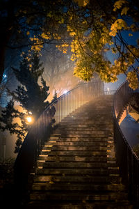 Footpath amidst illuminated trees against sky at night