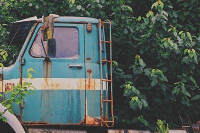 Old rusty train by trees