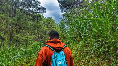 Rear view of man standing in forest