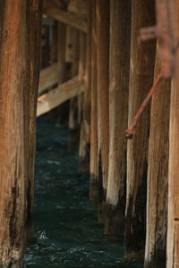 wood