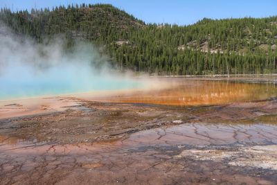 Landscape of geyser pool, steam and trees in yellowstone national park