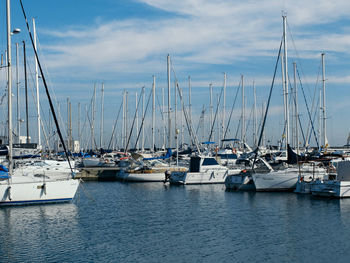 Sailboats moored on harbor against sky