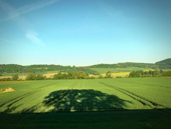 Scenic view of agricultural field against clear sky