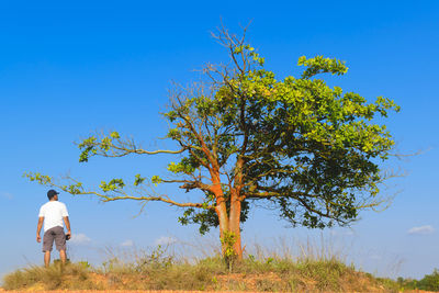 Rear view of mid adult man standing on field against blue sky during sunny day