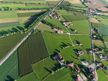 Aerial view of agricultural field