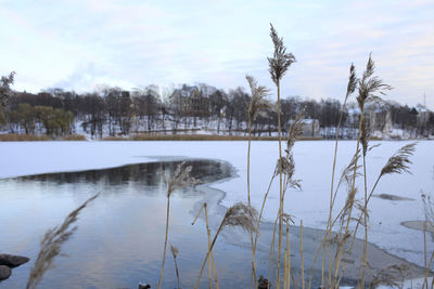 Scenic view of lake against sky during winter