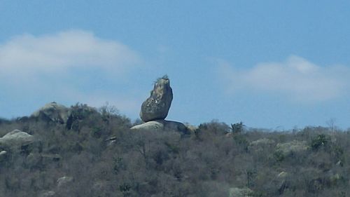 Scenic view of landscape against clear sky