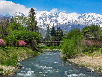 Scenic view of waterfall by trees against sky
