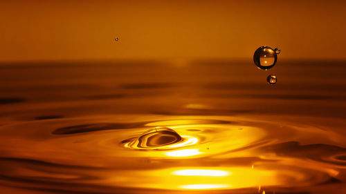 Close-up of drop on water