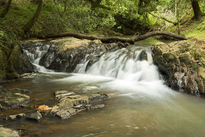 Scenic view of waterfall