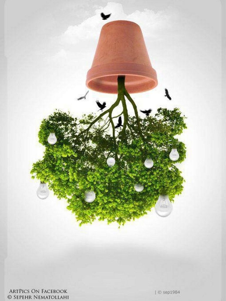 growth, flower, plant, hanging, lighting equipment, wall - building feature, stem, freshness, potted plant, white color, nature, auto post production filter, no people, fragility, green color, decoration, close-up, day, leaf, red