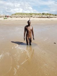 Full length of a horse on beach