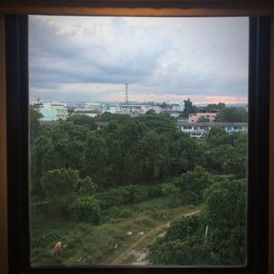 Trees and cityscape against sky seen through window