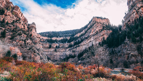 Panoramic shot of trees on mountain against sky