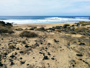 Scenic view of beach against sky