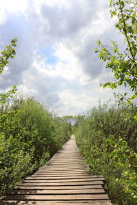 Footpath amidst trees against sky