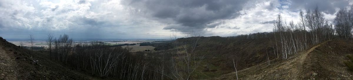 Panoramic view of trees against sky