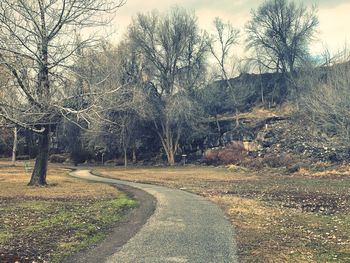 Road amidst bare trees against sky