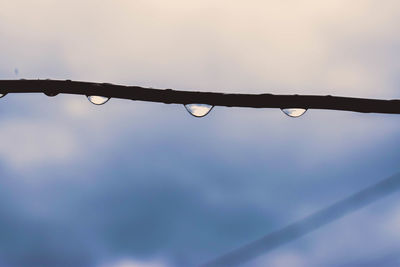 Close-up of water drops on fence against sky during rainy season