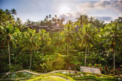 Scenic view of landscape against cloudy sky