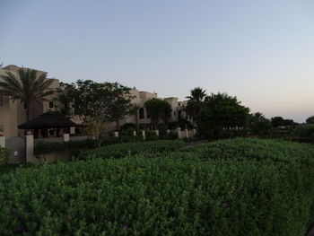 Houses on field against clear sky