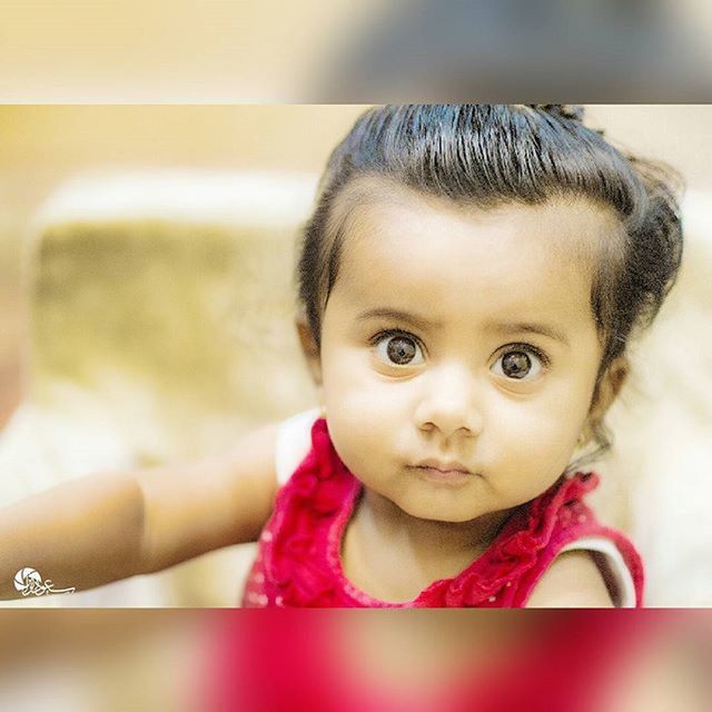 indoors, childhood, elementary age, innocence, cute, person, portrait, girls, looking at camera, home interior, headshot, close-up, front view, boys, lifestyles, babyhood, leisure activity, focus on foreground