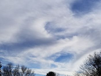 Low angle view of trees against sky