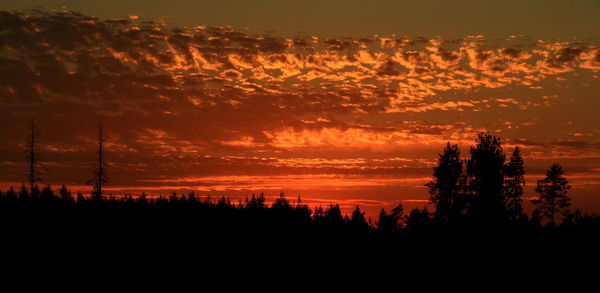 Silhouette trees against cloudy sky during sunset