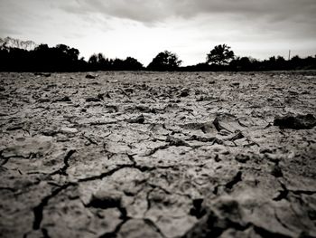 Surface level of field against sky