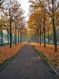 Road amidst trees during autumn