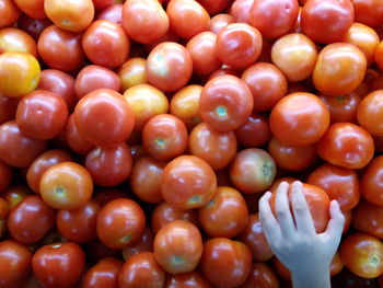 Full frame shot of oranges