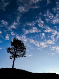 Low angle view of silhouette tree against sky