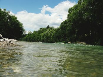 Scenic view of river and trees against sky