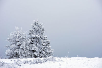 Trees on snow covered field against sky