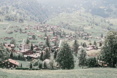 Aerial view of townscape and trees on field