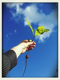 Low angle view of woman holding hands against clear blue sky