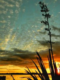 Scenic view of landscape against sky at sunset