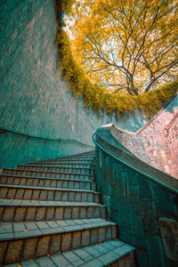 Low angle view of staircase amidst trees during autumn