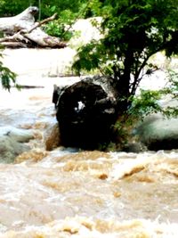 Close-up of water flowing through rocks