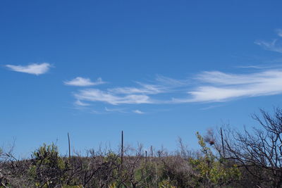 Scenic view of landscape against blue sky