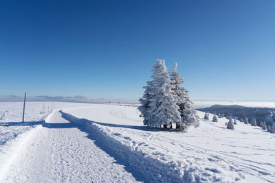 Snow covered field against clear blue sky