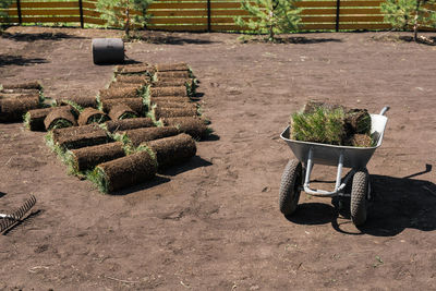 Potted plants on field