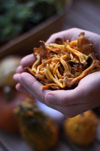 Close-up of hand holding mushrooms