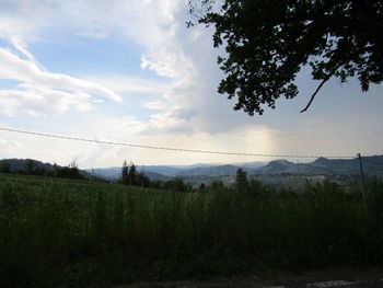 Scenic view of field against sky