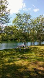 Trees on field by lake against sky